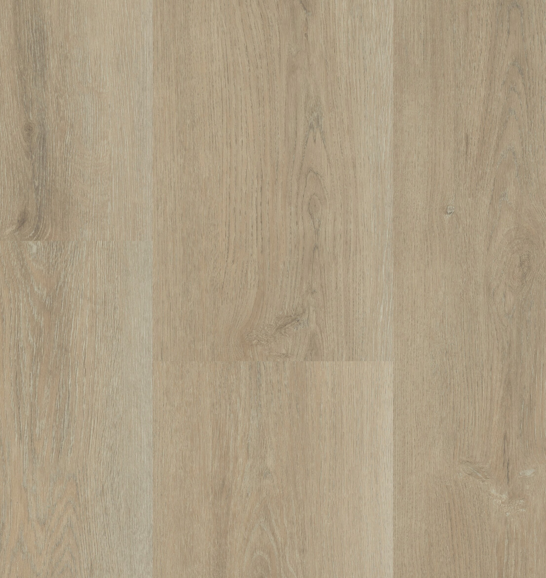 メヌエットページ charente-lange-plank-5447-2.jpg